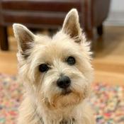 Podcast Conversations with Annie & Kate