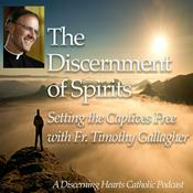 Podcast Discernment of Spirits with Fr. Timothy Gallagher - Discerning Hearts Catholic Podcasts