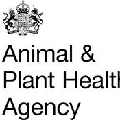 Podcast Dissecting Animal Diseases with the Animal and Plant Health Agency