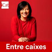 Podcast Entre caixes