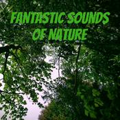 Podcast Fantastic Sounds of Nature