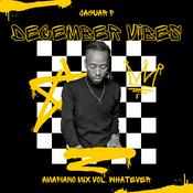 Podcast For The Levol