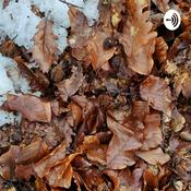 Podcast Future Talk mit MYLEEH von Future Enlightenment