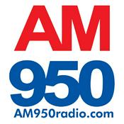 Podcast FYI Politics with Brett Johnson – AM 950