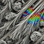 Podcast Gesundes Wohnen