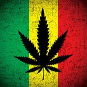 Podcast Grow Radio Show