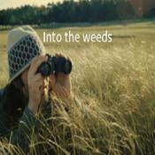 Podcast Into the Weeds