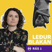 Podcast Leðurblakan