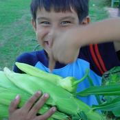 Podcast Ligaya Garden Oddcast