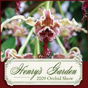 Podcast Missouri Botanical Garden Orchid Show 2009