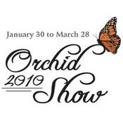 Podcast Missouri Botanical Garden Orchid Show 2010