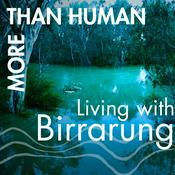 Podcast More Than Human