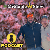 Podcast MrMaple Show