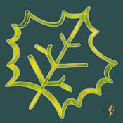 Podcast NATURE' Insolite