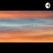 Podcast New Minimalism