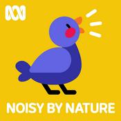 Podcast Noisy by Nature