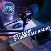 Podcast Notiziari in Podcast