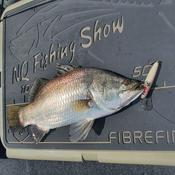 Podcast NQ Fishing Show Podcast