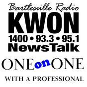 Podcast One on One With a Professional