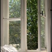 Podcast Open the Window