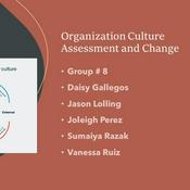 Podcast Organizational Culture Assessment and Change