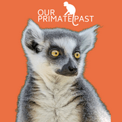 Podcast Our Primate Past