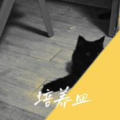 Podcast 培养皿