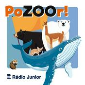 Podcast PoZOOR!