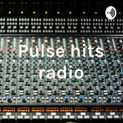 Podcast Pulse hits radio