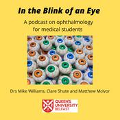 Podcast Queen's University Belfast - In the Blink of an Eye