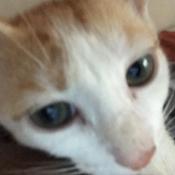 Podcast fyve’s tales