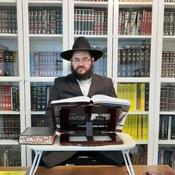 Podcast Rabbi Goldstein Daily Halacha shulchanaruchharav.com