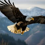 Podcast Seasons sermons