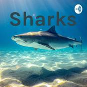 Podcast Sharks