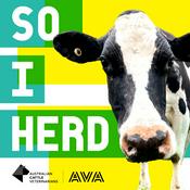 Podcast So I Herd