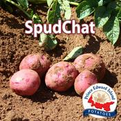 Podcast SpudChat