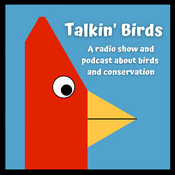 Podcast Talkin' Birds