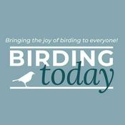 Podcast The Birding Today Podcast