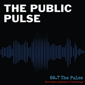 Podcast The Public Pulse Podcast