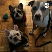 Podcast The Unwalkables ™️ , Diary of a Dog Walker NYC