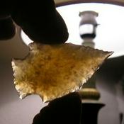 Podcast Todd Allen Needles sr