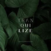 Podcast Traquilize - Sothing White Noises