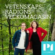 Podcast Vetenskapsradions veckomagasin