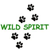 Podcast Wild Spirit