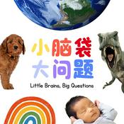 Podcast 小脑袋，大问题 • Little Brains, Big Questions