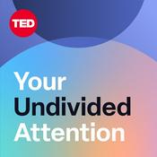 Podcast Your Undivided Attention