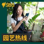 Podcast 园艺热线