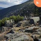 Podcast żale i problemy typu codziennego