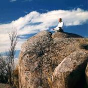 Podcast Zen Buddhist Temple's Podcast