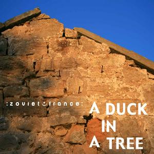 Listen to A Duck in a Tree in the App